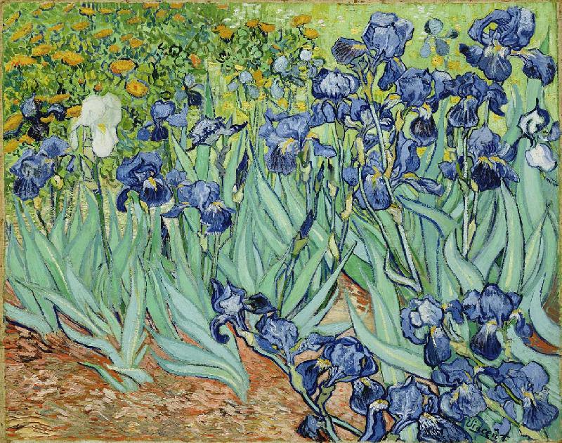 Vincent Van Gogh Irises oil painting image